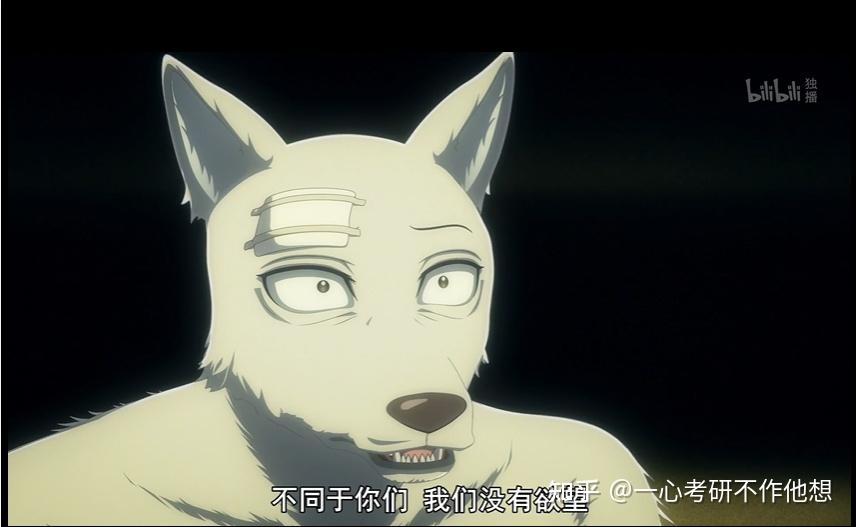 日本动画动物狂想曲beastars第二季完结你有什么想说的