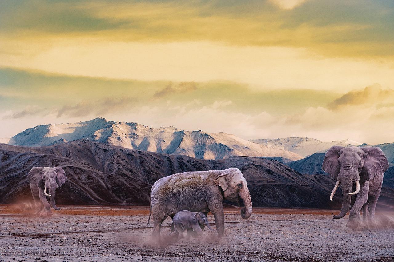 如何去除衣柜尘螨