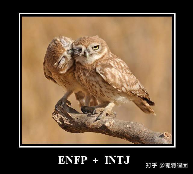 ENFP的男孩子在生活中是怎樣的? - 知乎