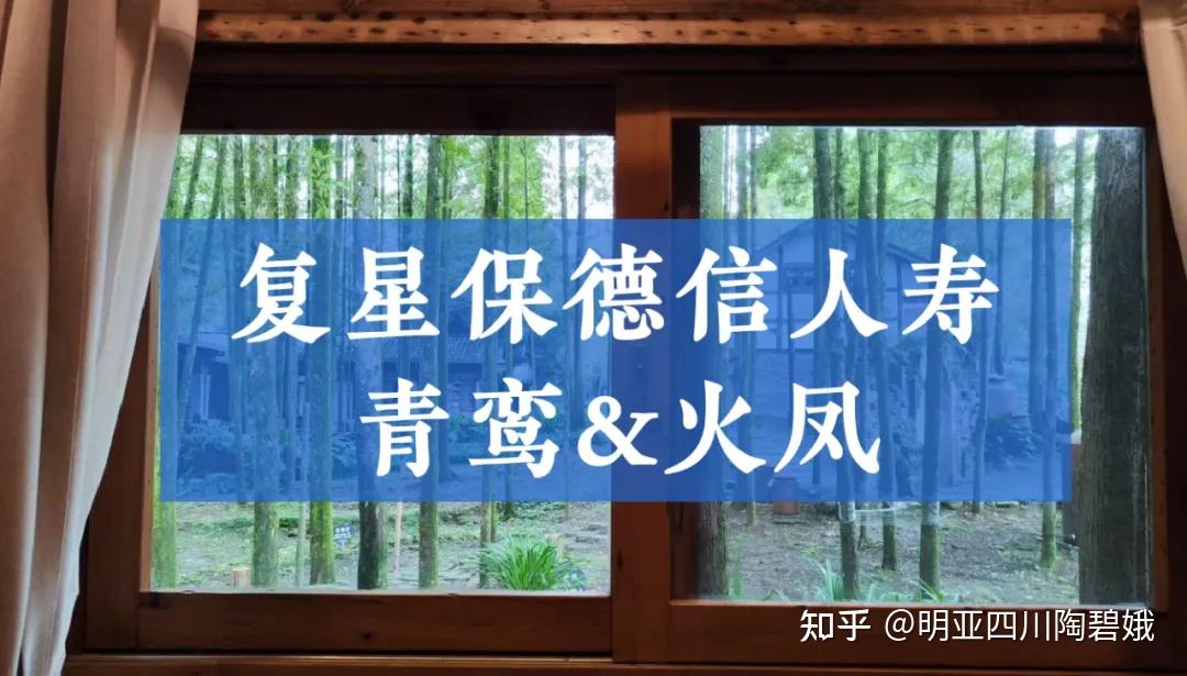 复星保德信新品青鸾火凤6个计划的养老金产品如何选择