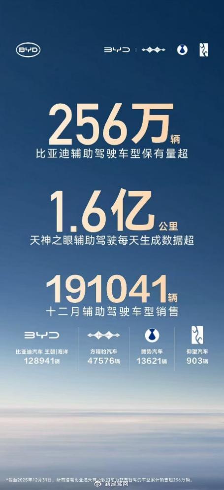 256 万 + 用户共同选择,比亚迪辅助驾驶跑出加速度