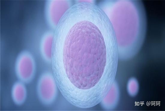 2025年最新有正规供卵机构吗知乎推荐(今日分享有没有靠谱的供卵试管婴儿)