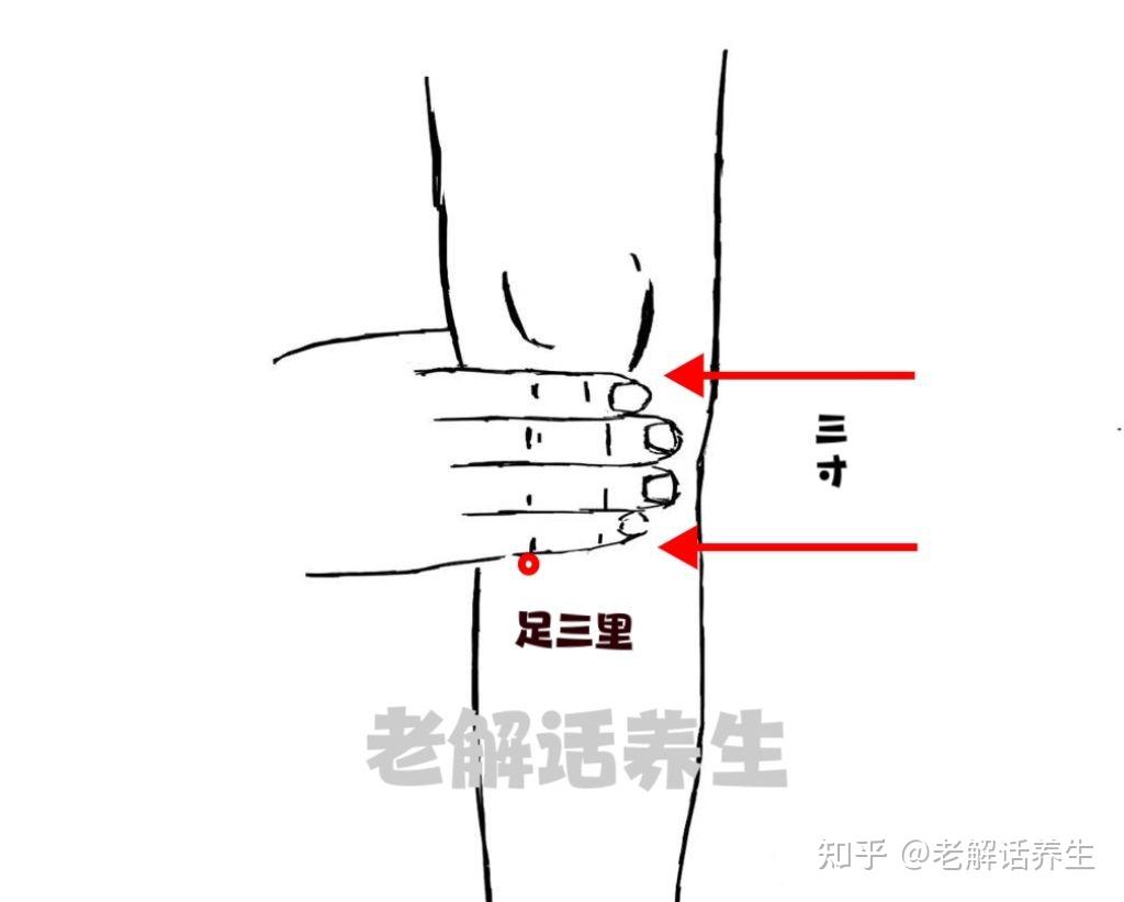 腹胀艾灸位置图图片