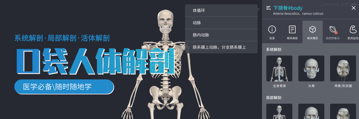 有什么好用的解剖软件？ - 知乎