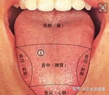 中医怎么通过脉象和舌象,诊断慢性前列腺炎? - 知乎