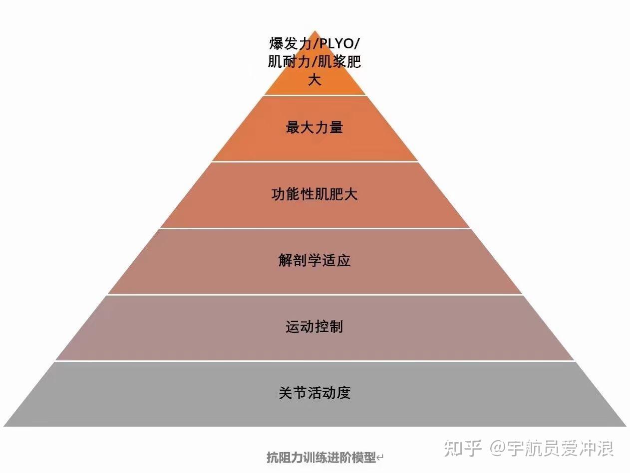 健身4個月想繼續增重選擇三分化訓練好還是五分化訓練該選擇怎樣的