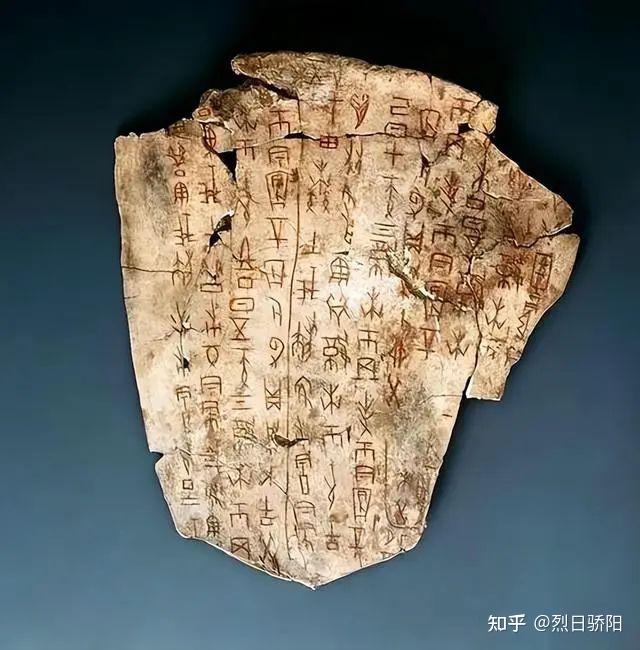 看到乌龟的骨骼,你就会明白,为何它是世界上最诡异的动物之一! - 知乎