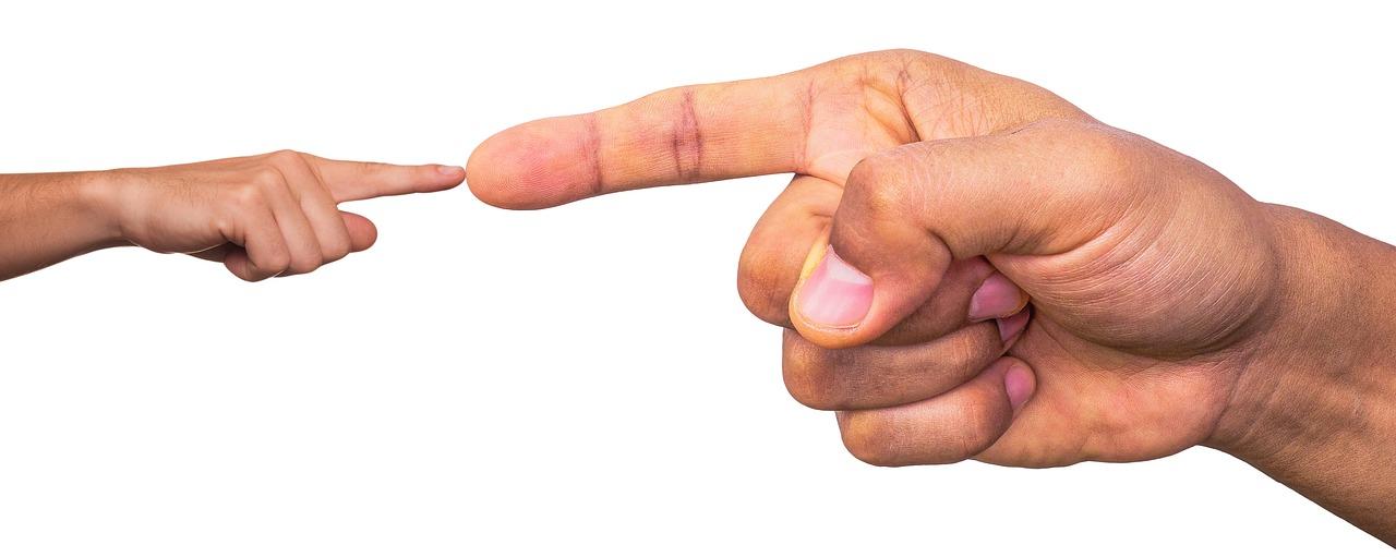 4. 土地交易信息