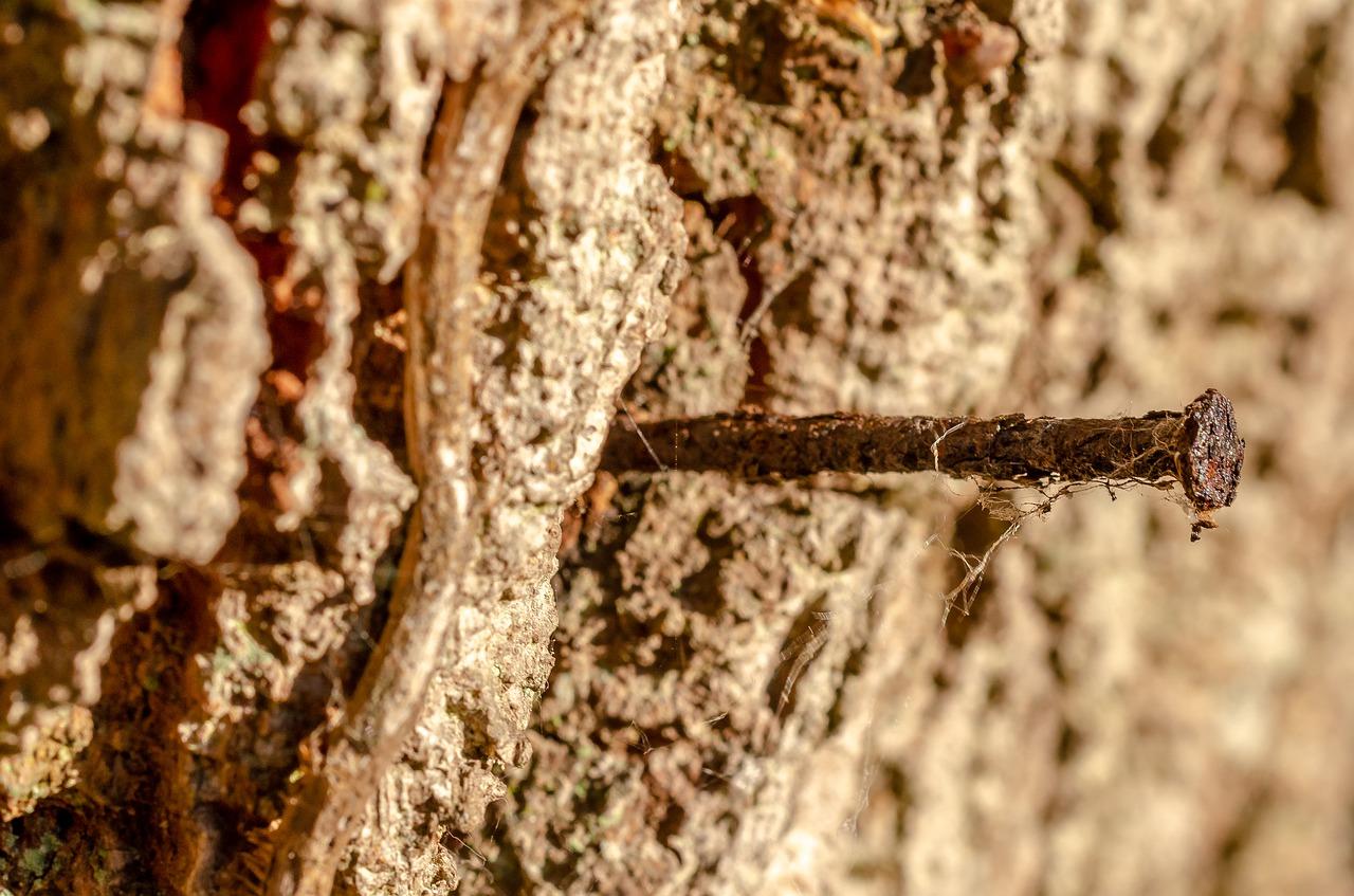 如何修补墙上的钉子