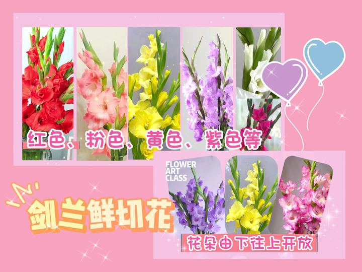 剑兰鲜切花怎么养?花艺师教你正确的养护方法 - 知乎