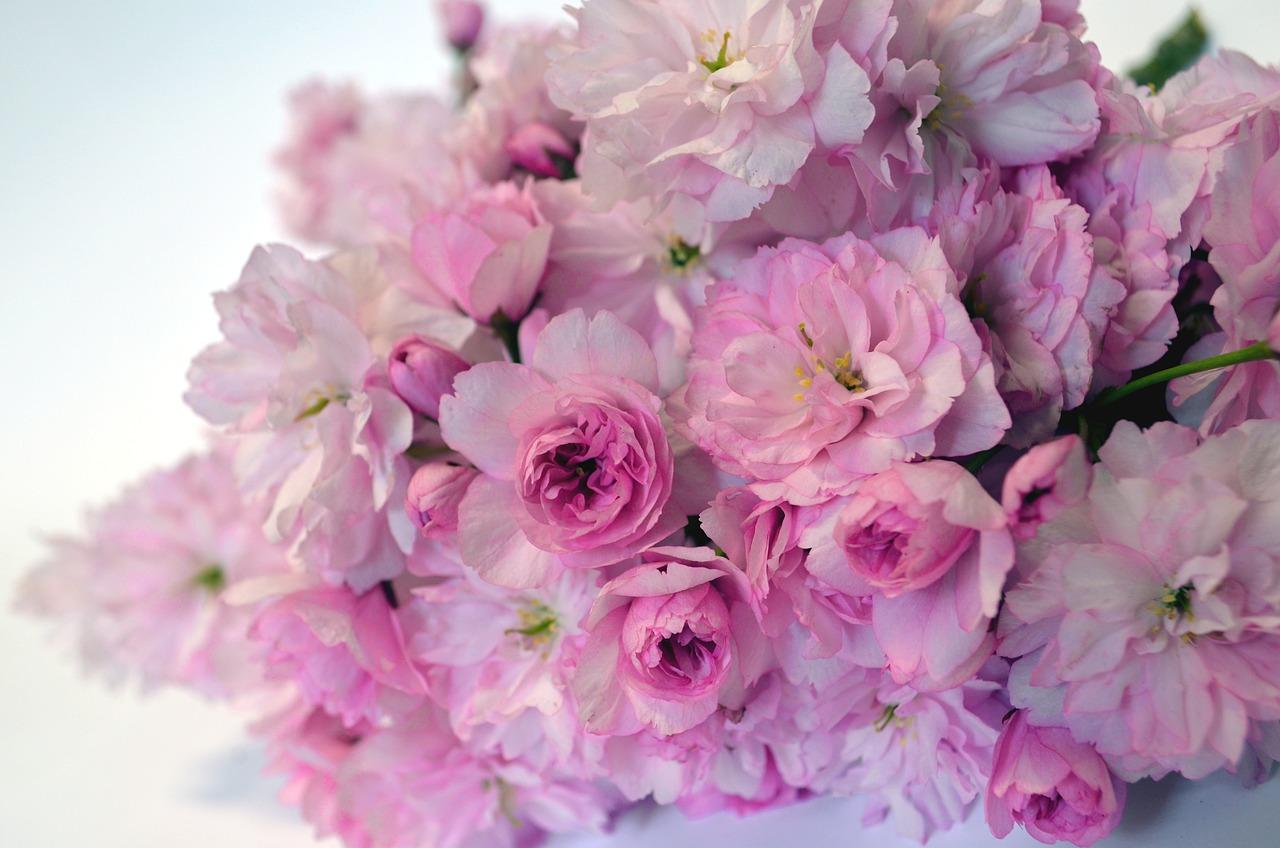 端午佳节,感恩有你