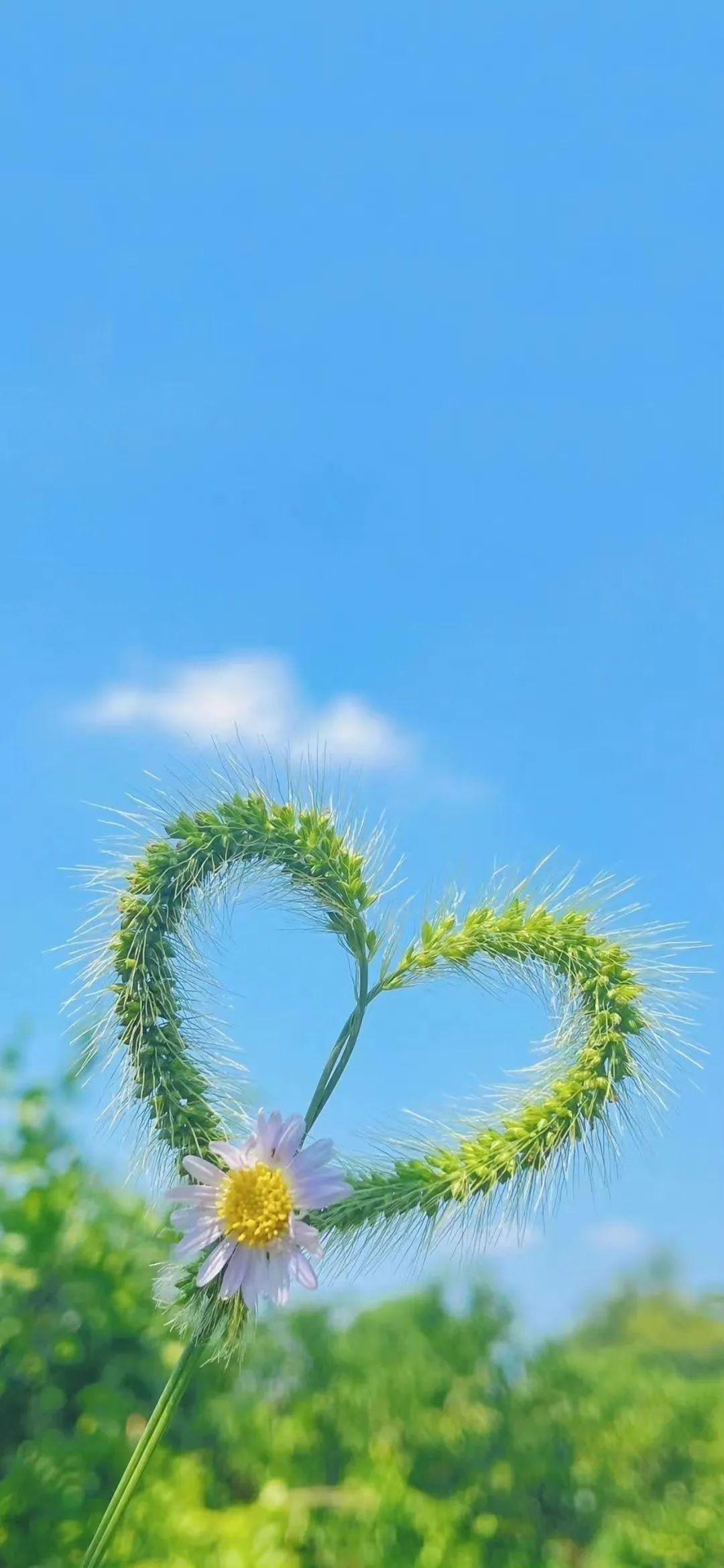 有啥简约高级的壁纸背景图?