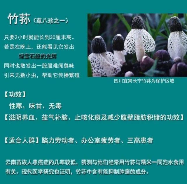 野生菌种类大科普之竹荪 - 知乎