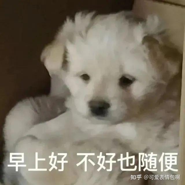 微臣惶恐表情包(太监版Loopy) - 知乎