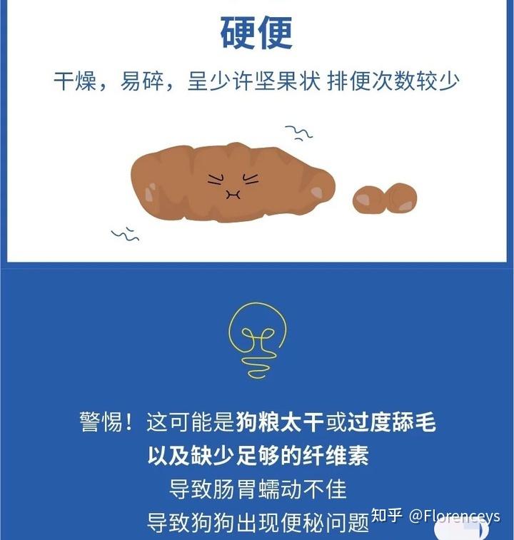 “察屎观色”篇让你一次性了解狗狗的便便 - 知乎