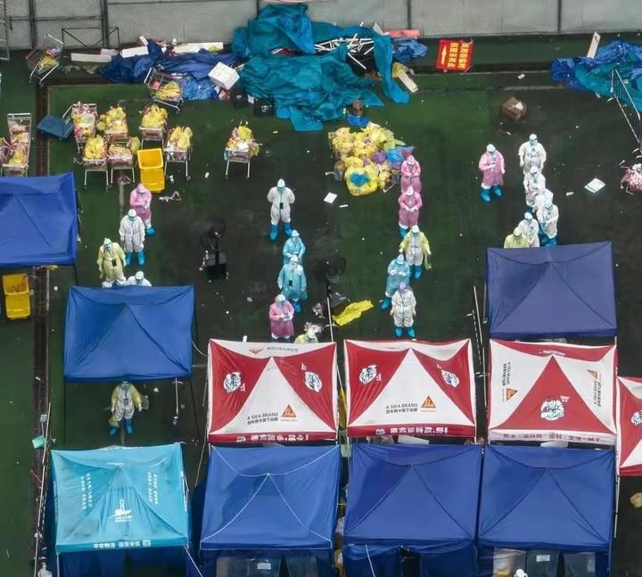 放开前和放开后，被这9幅画面扎心了 - 知乎