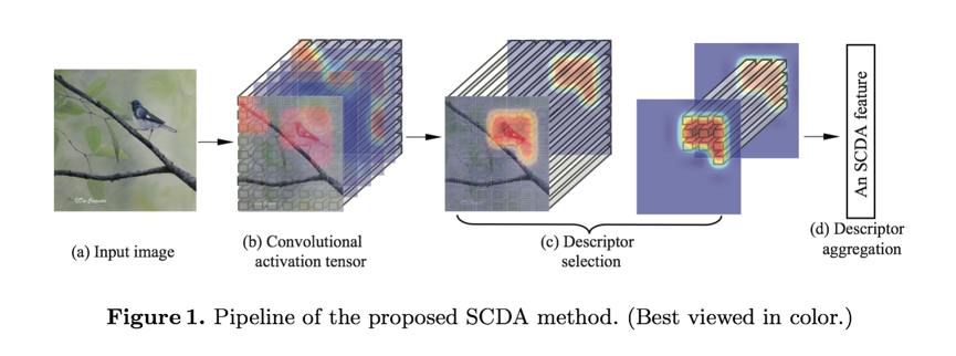 「见微知著」——细粒度图像分析进展综述 - 知乎