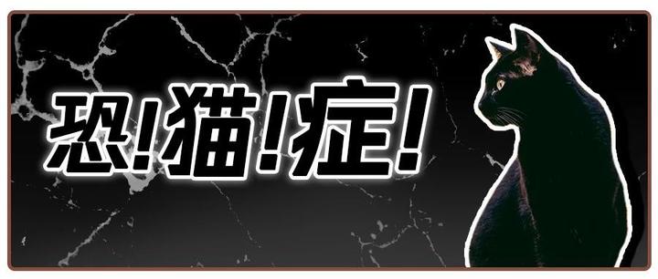 “为什么我觉得猫是很恐怖的动物?” - 知乎