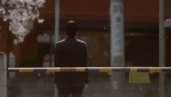《秒速五厘米》经典动漫拍真人版，每帧都是回忆杀！