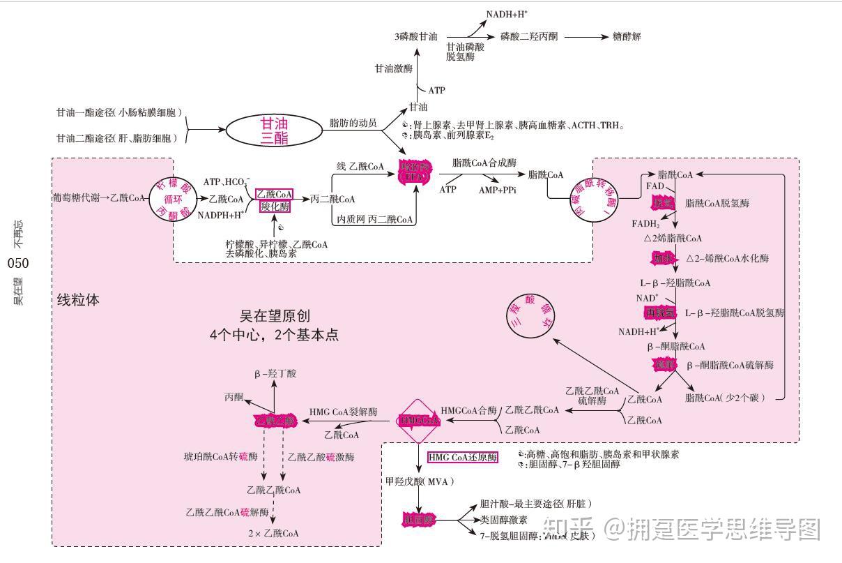 生物化学与分子生物学如何学习？ - 知乎