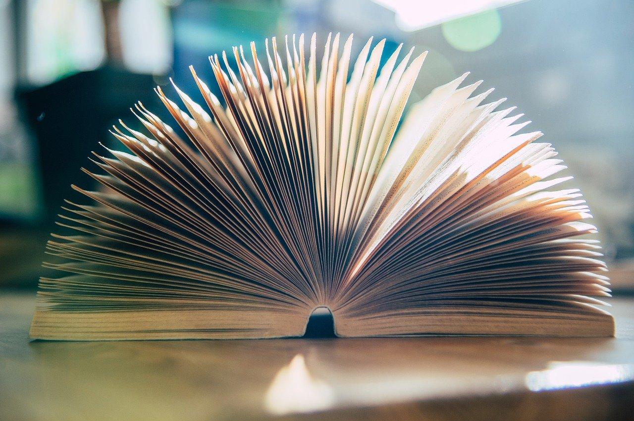 2. 棕榈园户型解析