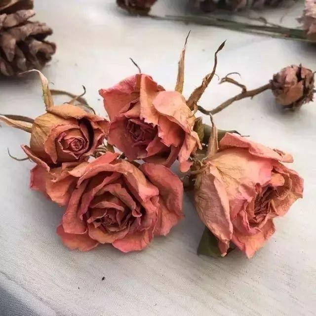 烟熏木质玫瑰香水实验室玫瑰31