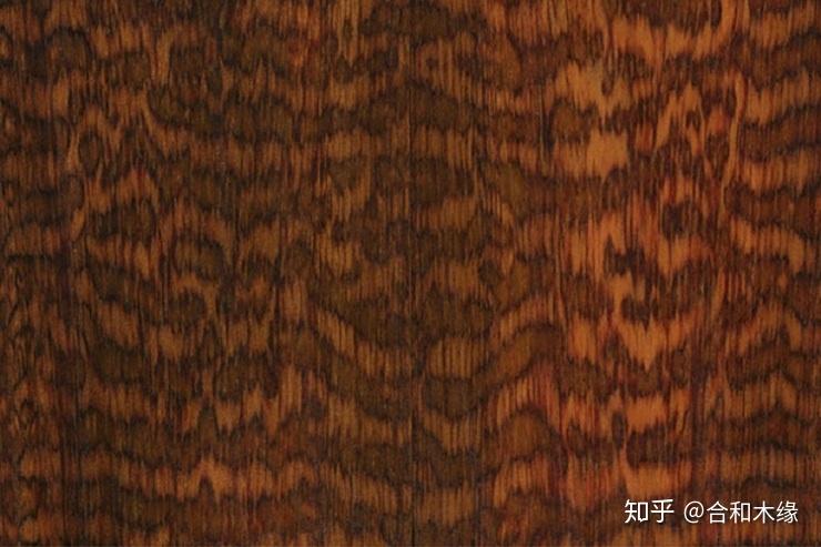 「家具木材美誉」连载篇七：蛇纹木被誉为木中钻石，硬度可见一斑 - 知乎