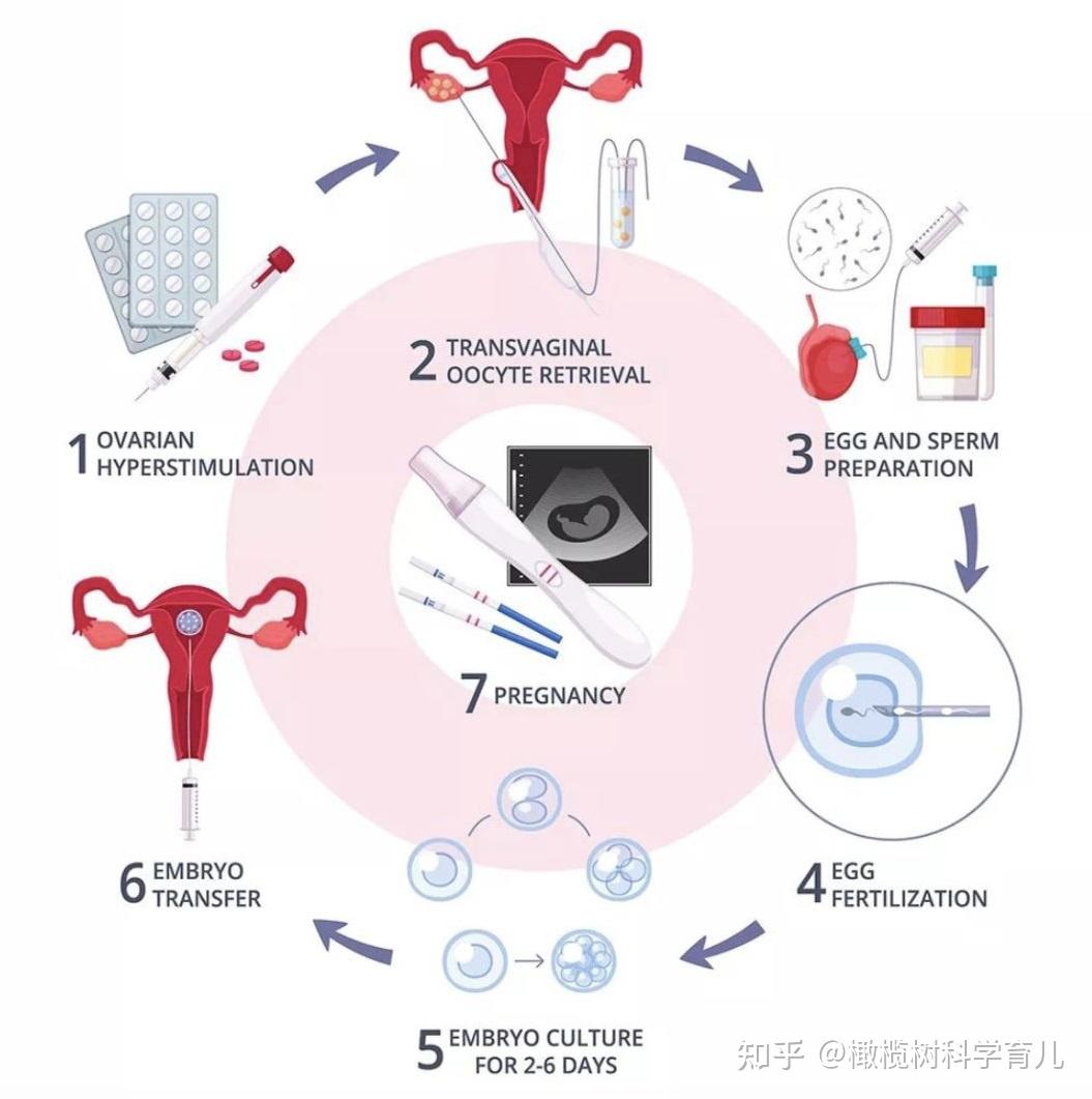 做河北石家庄代怀选性别包生男孩如何提高卵子质量（_南方39国际医疗）