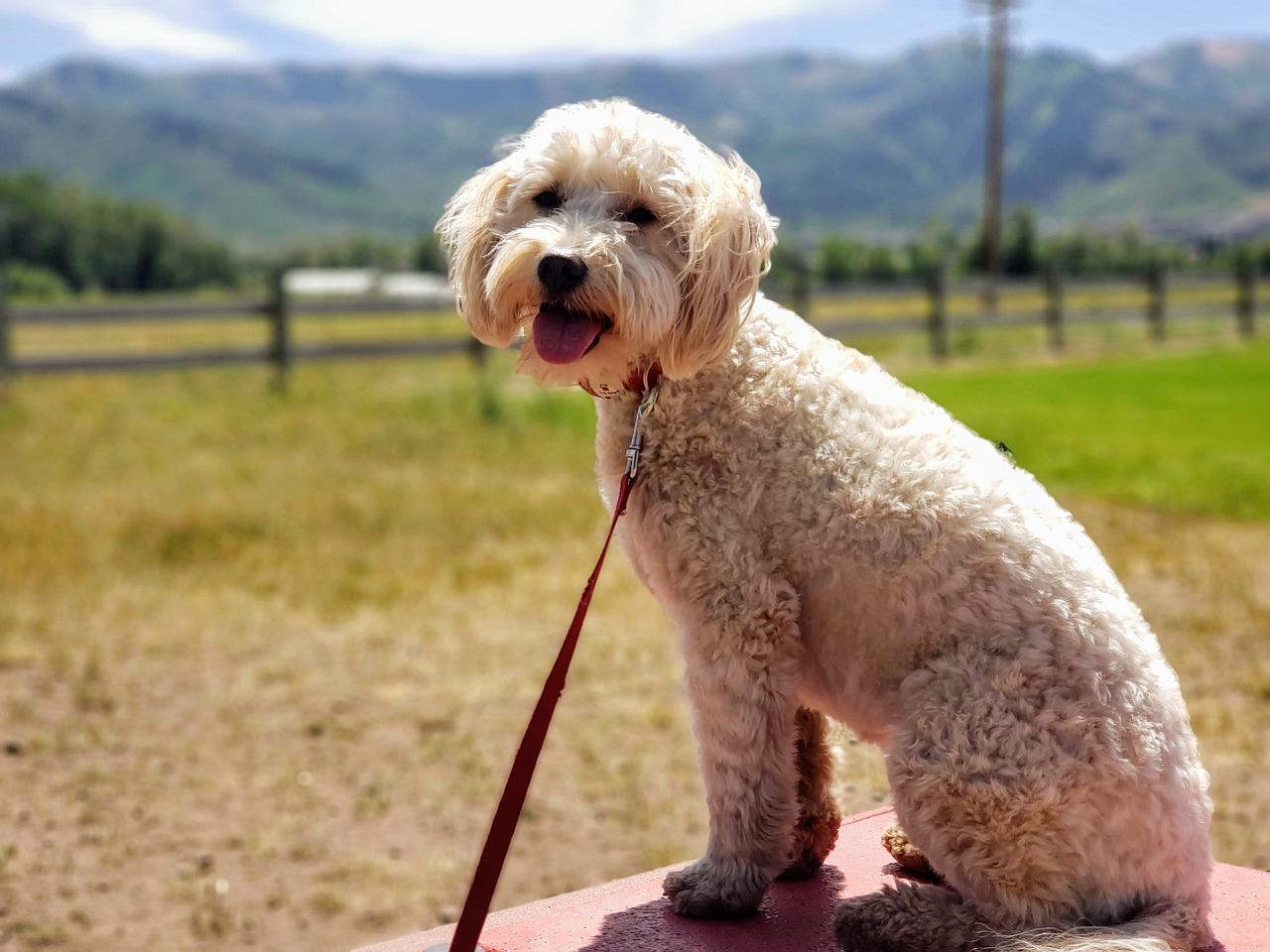 4. 生态宜居环境优