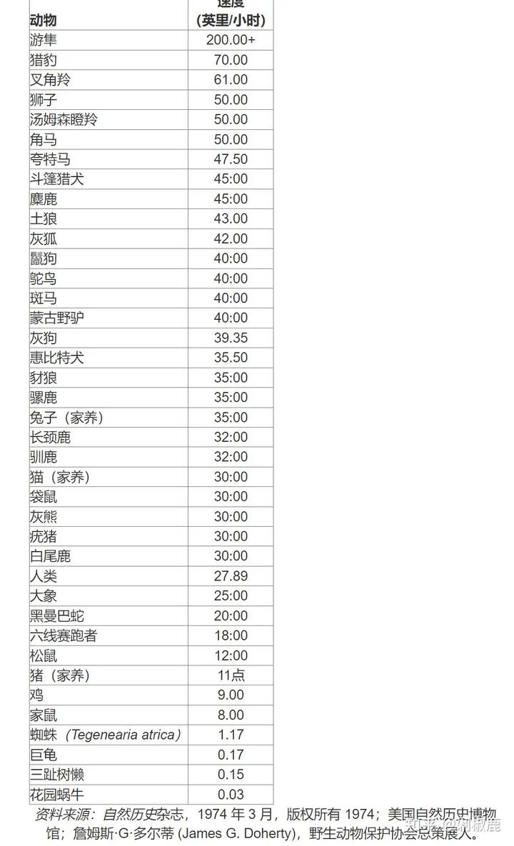 一只霸王龙穿越到现在的非洲大草原会发生什么？