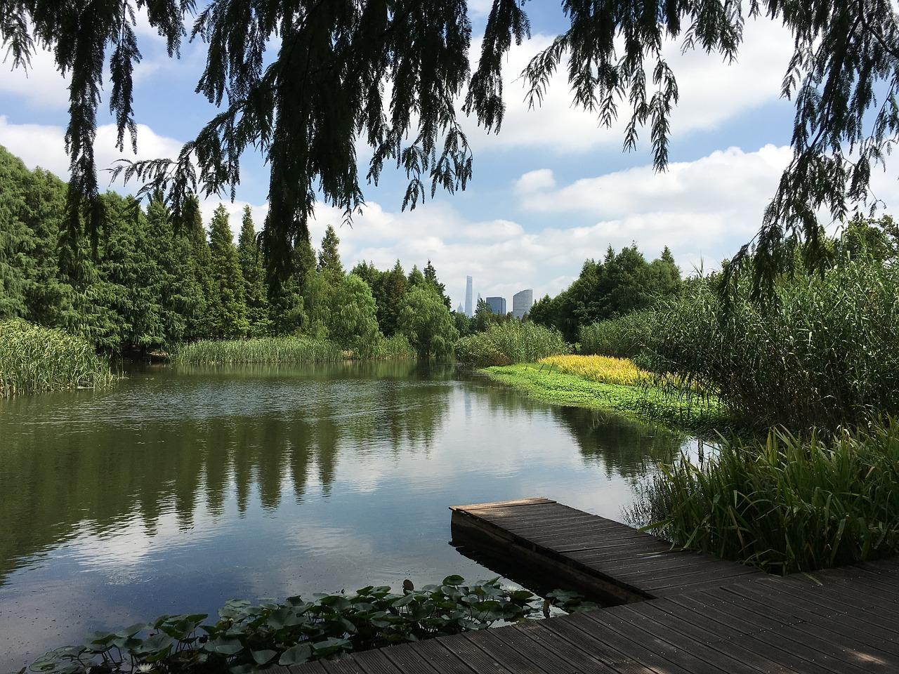 花团锦簇春色浓