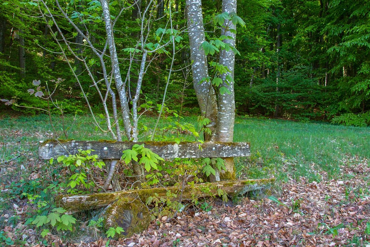 老板凳是什么意思