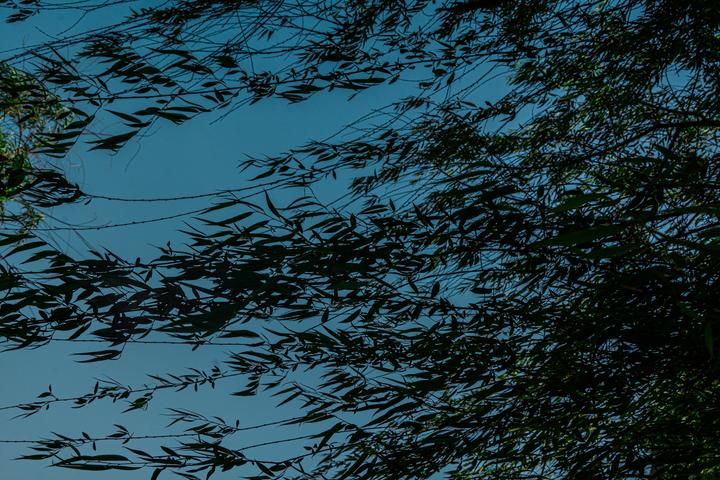 暮春时节又逢君 - 知乎