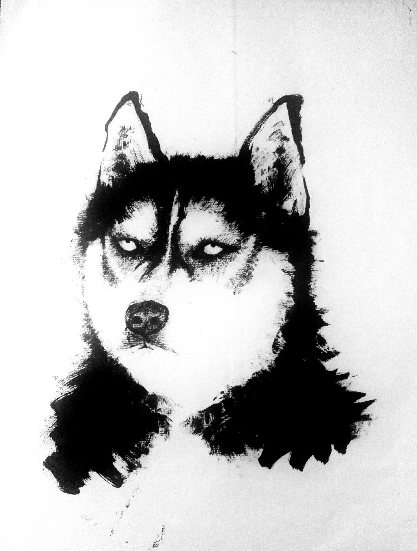 国画怎样画哈士奇