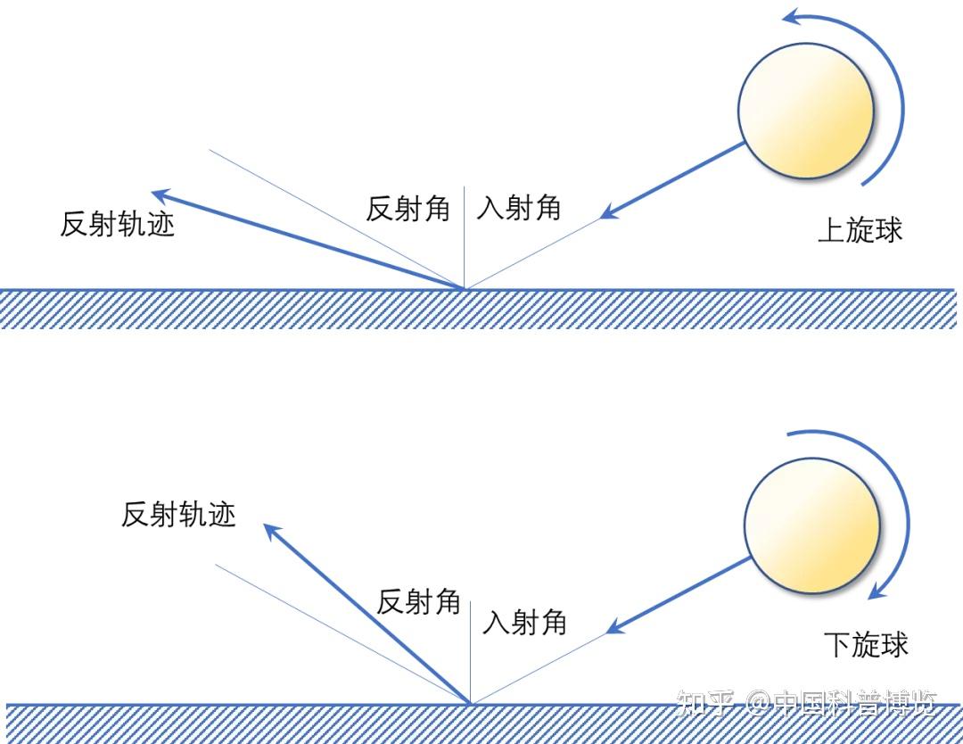 乒乓球上下旋球图解图片