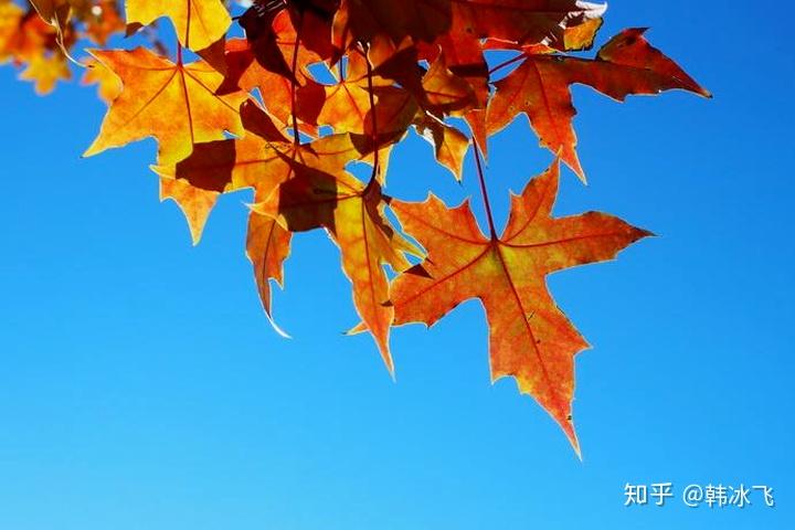 如何评价皮克斯动画电影心灵奇旅soul