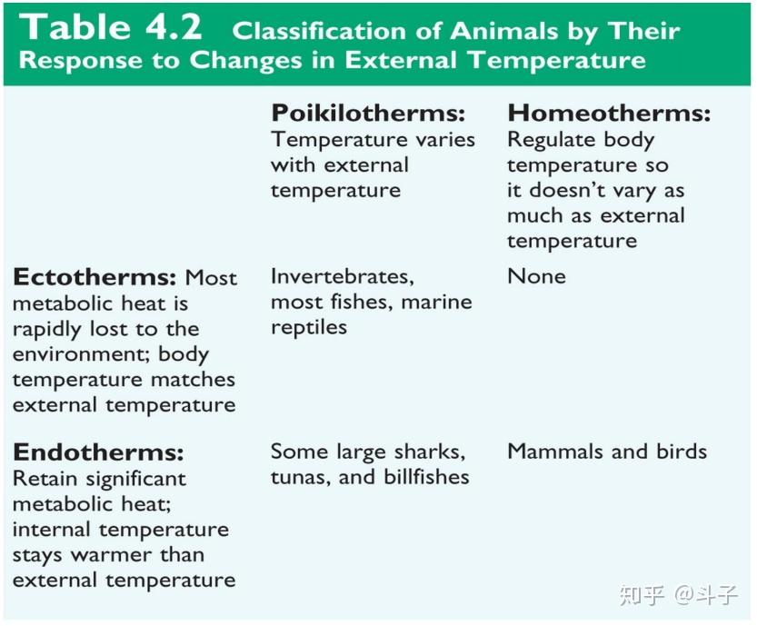 内温动物外温动物恒温动物变温动物之间有什么关系