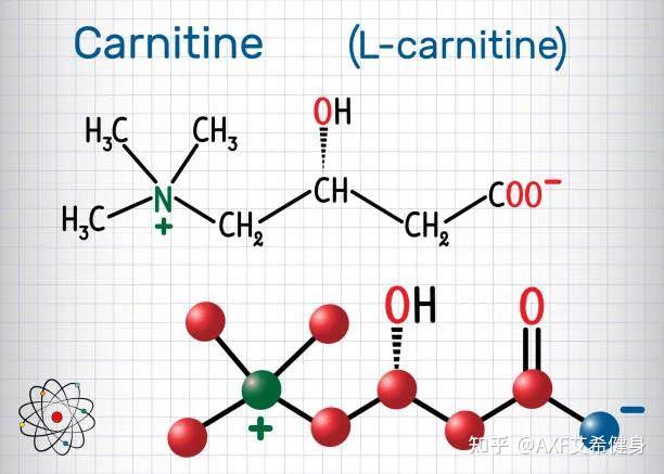 l carnitine  L-Carnitine (60/)  1: - 