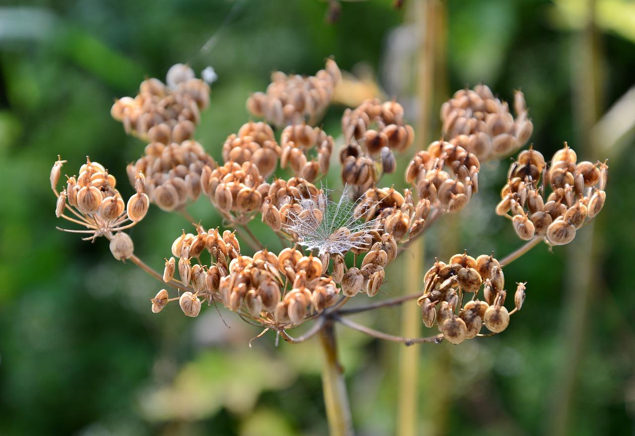 2. 目数与质量关系