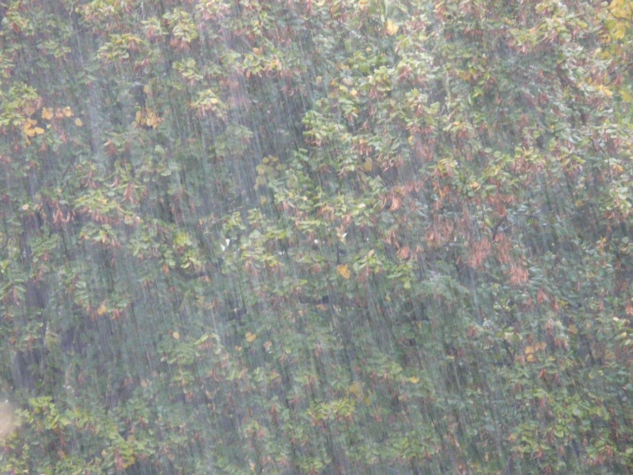 脚步声里的温暖