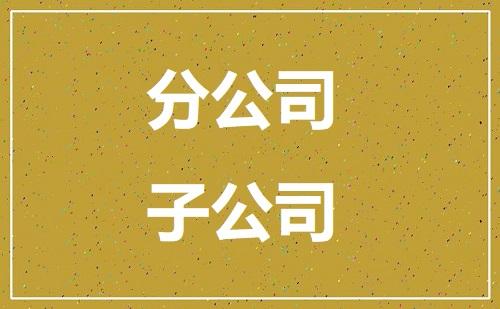 如何设立分公司与子公司