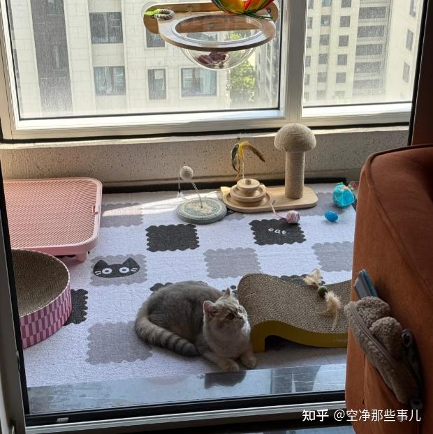 养宠三年,我被猫毛和过敏逼到崩溃边缘,差点把猫送走——直到入手沁园A1200,真香了!