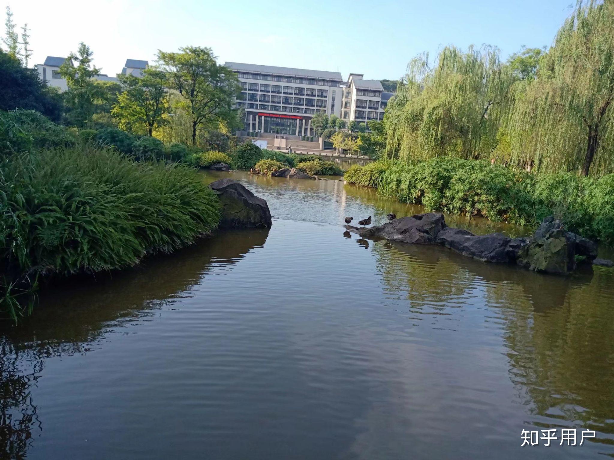 在重庆理工大学就读是一种怎样的体验