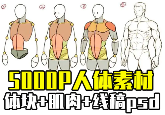 100套绘画资源,超10万张素材!毕生私藏公开分享! - 知乎