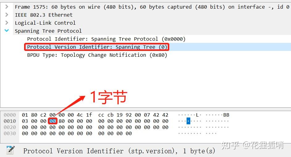 Header Stpc STP报文格式 - 知乎
