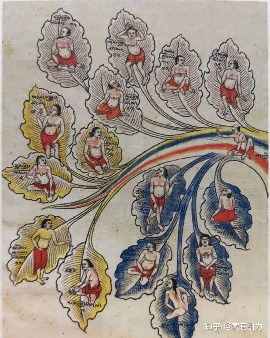 这篇文章终于讲清楚了藏医的“三因” - 知乎