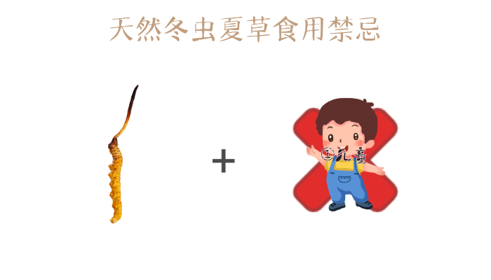 冬虫夏草有什么禁忌吗