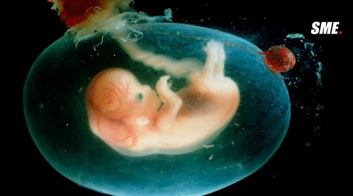 生男生女究竟由谁决定远不止x生女y生男那么简单