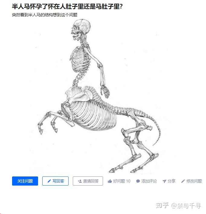 半人马怀孕了怀在人肚子里还是马肚子里? - 知乎