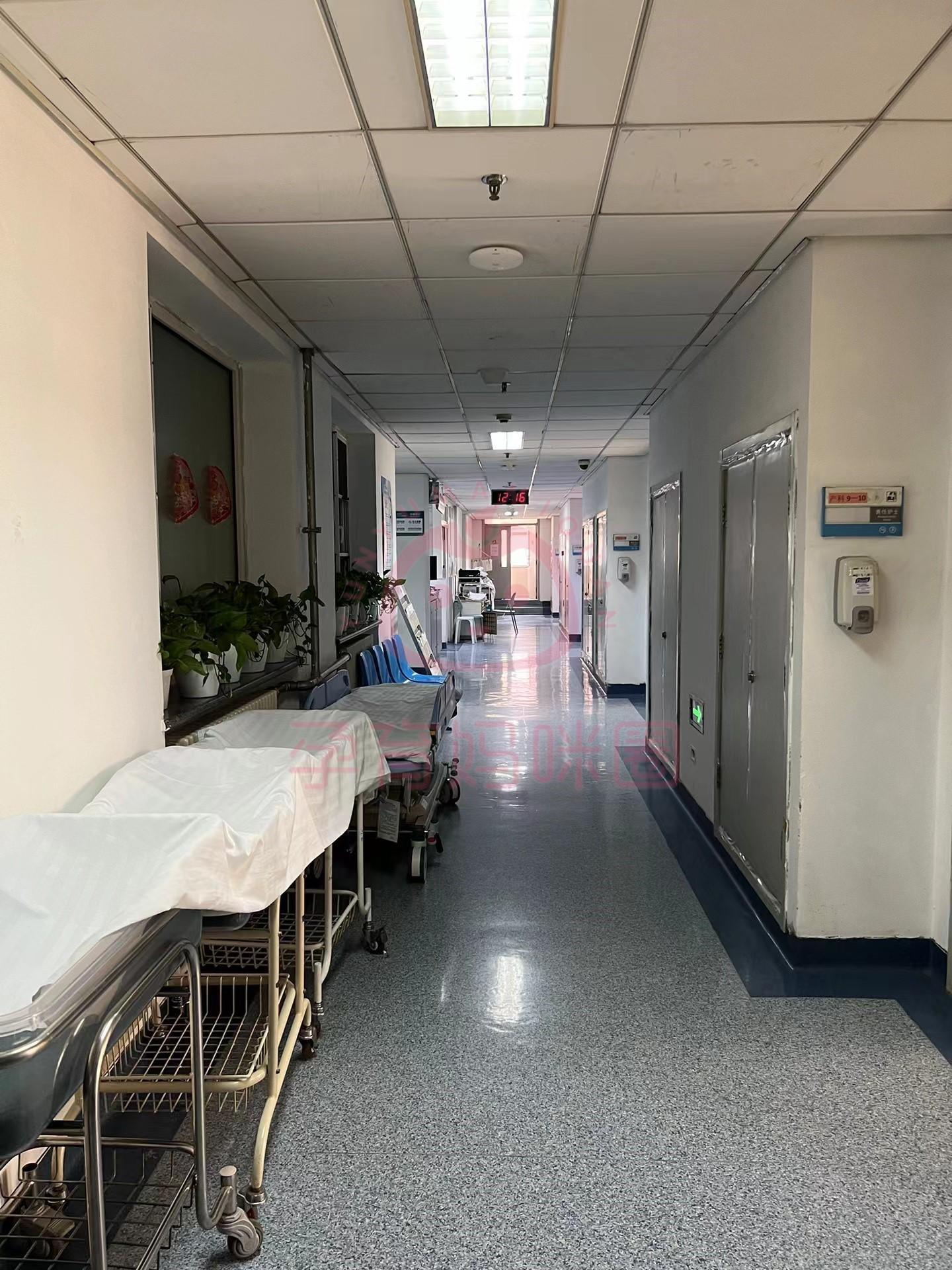 北京市海淀医院线上如何挂号黄牛跑腿号贩子挂号的简单介绍